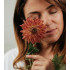 The benefits of a day cream – Skineance